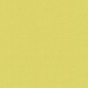 Day and Night Blinds - Unilux FR Lime
