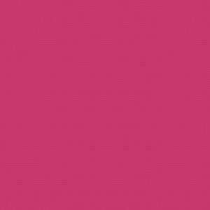 Vertical Blinds - Bella Lipstick