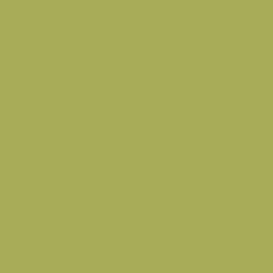 Day and Night Blinds - Splash Vine