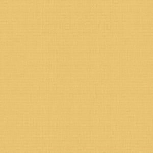 Day and Night Blinds - Unicolour Ash