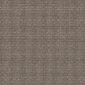 Day and Night Blinds - Unicolour Cream